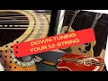 Down-Tuning Your 12-String