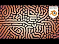 Reaction Diffusion with Simulation Nodes - Blender 3 6