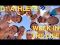 UCLA ROWING SPRING BREAK