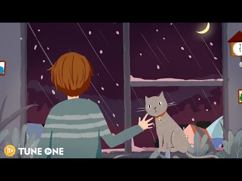 Kitten at home Lofi hip hop mix