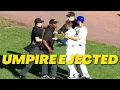 The Umpire Gets Ejected from the Game