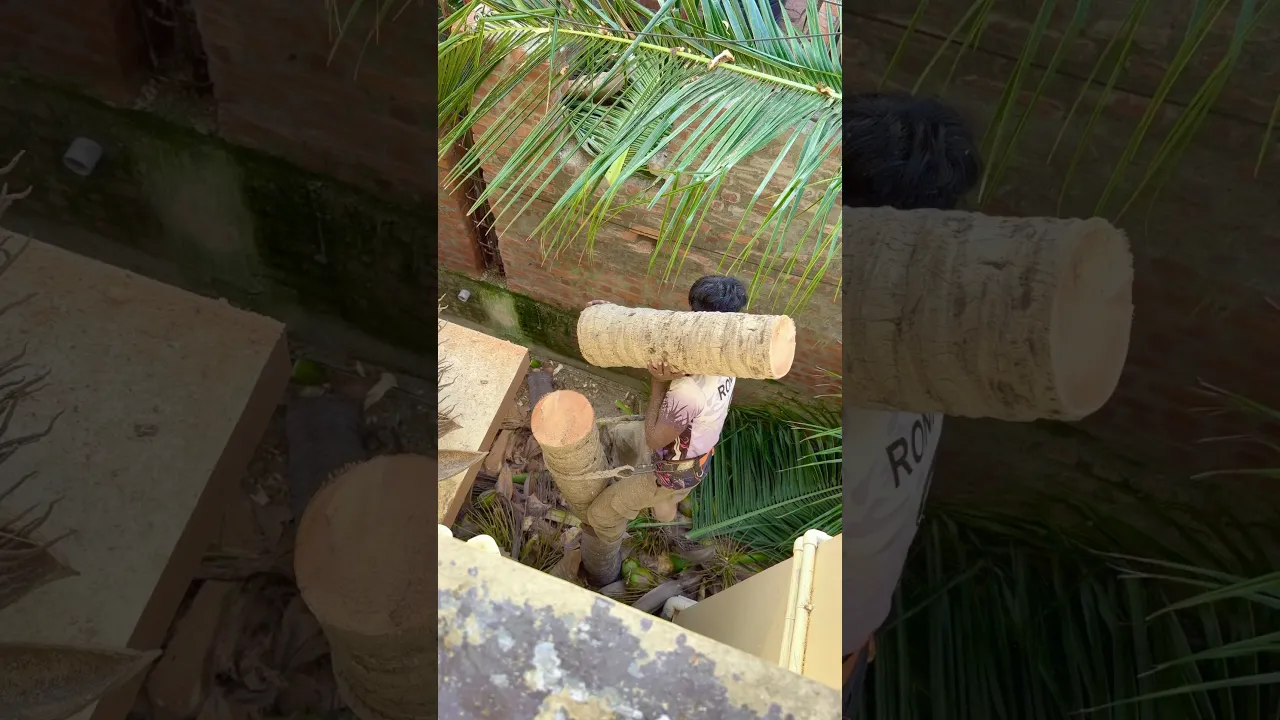 Tree cutter