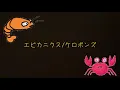 エビカニクス/ケロポンズ　ギター弾き語り