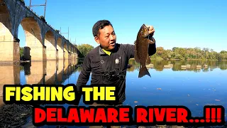 Catching LITTLE FISH to Catch BIGGER FISH SPECIES ASSESSMENT
