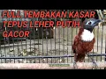 FULL TEMBAKAN KASAR TEPUS LEHER PUTIH GACOR