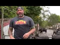 Shipley Swine Genetics Custom Bred Gilts