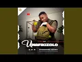Download Lagu Umafikizolo - Uyoncengwa Unyoko (Official Audio)