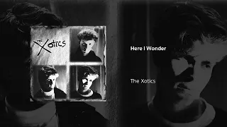 Download The Xotics | Here I Wonder MP3