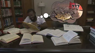 What happened to the Dothan time capsule horned frog