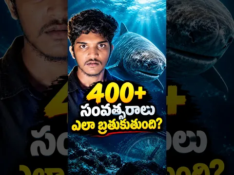 This Shark Can Live for 400+ Years! 🦈😱#ktdeepthinker #factsintelugu #telugu