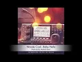 Wande Coal - Baby Hello [AUDIO] (Prod Maleek Berry)