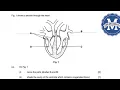 Download Lagu Question and answer on the internal structure of the human heart.