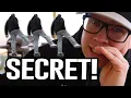 SECRET Technique SKATEBOARDING SWITCH STANCE Trick Tip Tutorial Easiest Way