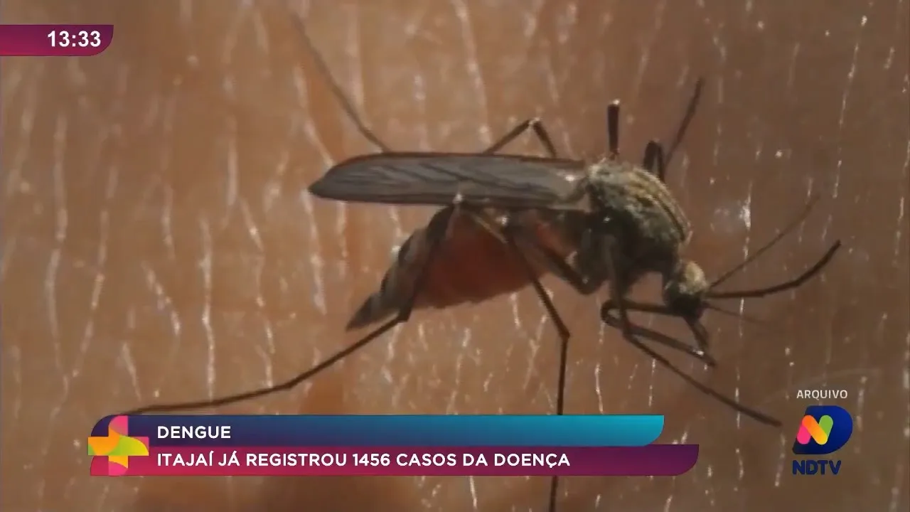 Dengue, número de casos aumentou nos últimos dias em Itajaí e Balneário Camboriú