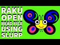 Raku Tutorial Open Read Files Using Slurp User Input 2024