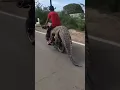 Download Lagu Magarmach ka video | Man Riding Bike with Crocodile |#short #youtubeshort #reels #viral #Crocodile