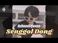 Download Lagu Lagu Joget Terbaru SENGGOL DONG Remixer Azharul Kenzo