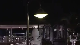 ينبعاوي اه ياحلو يامسليني دندنها