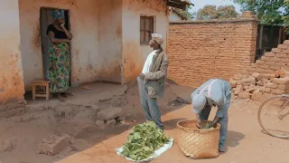 ndalama ya ndiwo mwapac comedies dir luke