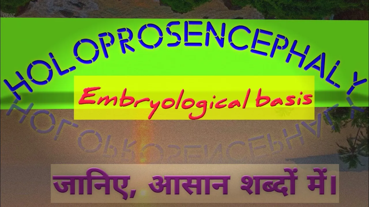HOLOPROSENCEPHALY