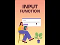 Python Input Function