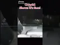 REAL DOG - SIGHTING See ending
