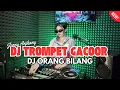 Lagu DJ TROMPET GACOOR x ORANG BILANG - DJ JENNY ANJHANY