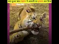 Download Lagu क्या हुआ जब टाइगर ने आदमी पर हमला कर दिया || #shorts #tiger #attack
