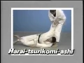 Kodokan Throwing Techniques Nagewaza
