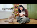 Download Lagu We Adopted a Senior Cat and Now THIS Happened