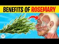 Download Lagu 10 POWERFUL Health Benefits of ROSEMARY You Didn't Know About