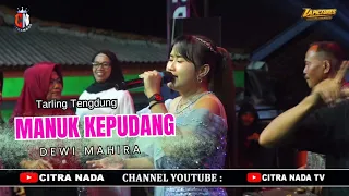 manuk kepudang citra nada live desa rungkang blok masjid kec losari brebes