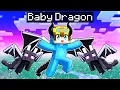 Download Lagu Becoming A BABY DRAGON In Minecraft!