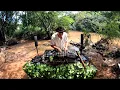 Download Lagu Organic \u0026 Progressive House DJ Set in Nature | Forest \u0026 River | XTROMNER | Brazil