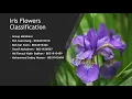 Iris Flowers Classification Machine learning project