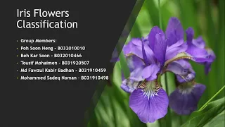 Iris Flowers Classification Machine learning project