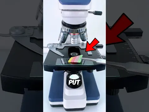 Gummy Strips Looks Different Under a Microscope! 🤯