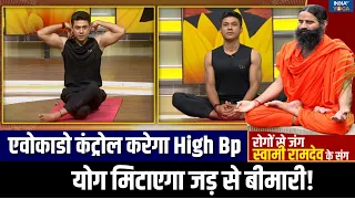 High BP Problem : एवोकाडो से कंट्रोल होगा हाई बीपी, कोसों दूर रहेंगी रक्तचाप से जुड़ी बीमारी!