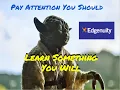 How to be Successful with Quizzes Tests in Edgenuity