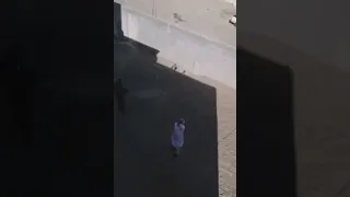 مطلوب ويشرب ببسي ام الروقان      دندنها