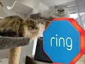 Download Lagu Ring Alarm Outdoor Siren - Unboxing and Install - Siren volume demo