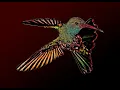 Hummingbird Cocoon (1990)
