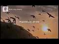 Balada para Maria (Letra)
