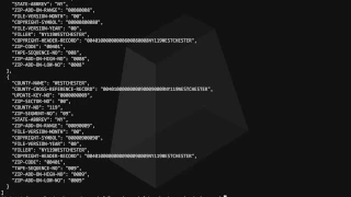 COBOL Parsing Copybook Files into JSON