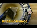 Inside one of the nation s most popular tea brands