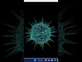 How to Create a Virus in Python Turtle - Watch now