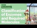 Classification and Properties of Enzymes Sketchy MCAT