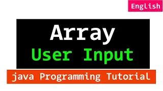 Array User Input using For Loop Java Programming Tutorial
