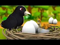 Download Koyal ka Anda 3D Animated Hindi Stories for Kids | Moral Stories कोयल का अंडा हिन्दी कहानी Tales mp4 3gp mp3 videos - waplic