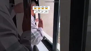 هذا ما يحدث عندما تحاول إزالة عش دبابير حشرات دبابير حيوانات 